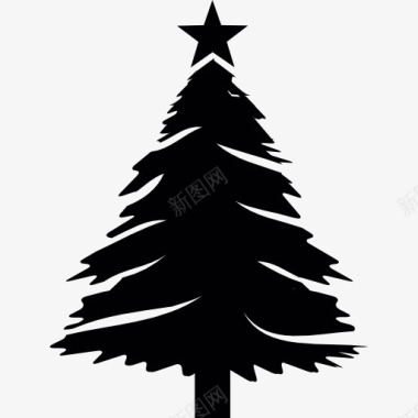 圣诞雪松树圣诞树与星图标图标
