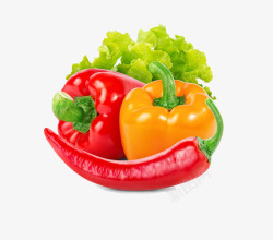 红辣椒等蔬菜素材