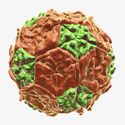 病毒颗粒免抠PNG病毒颗粒高清图片
