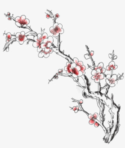 手绘梅花树一枝梅花高清图片