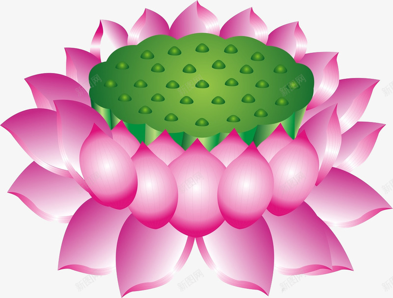 莲花莲藕卡通png免抠素材_88icon https://88icon.com 佛教 卡通 莲花 莲藕