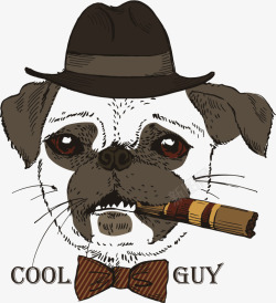 抽雪茄的狗时尚动物高清图片