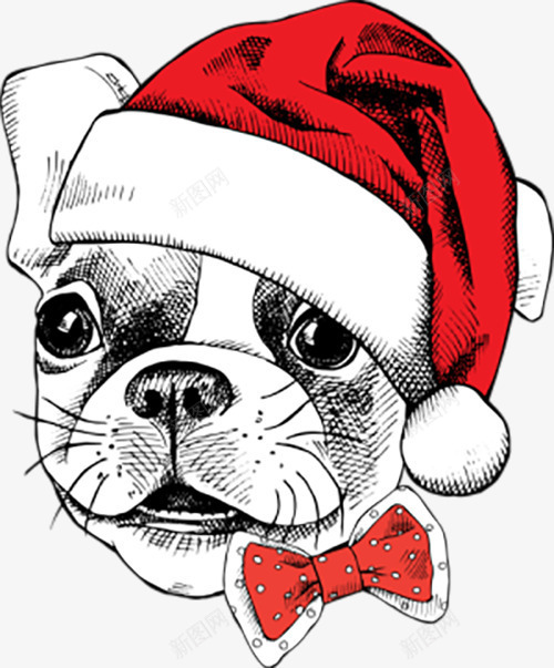 庆祝圣诞节的狗狗png免抠素材_88icon https://88icon.com 动物 卡通 双十二 喜庆 庆祝圣诞节的狗狗 手绘 生日狗 红色 蝴蝶结 过节