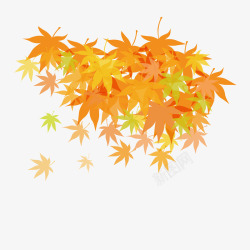 秋天枫叶图矢量图素材