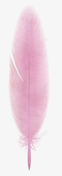 卡通翅膀羽毛翅膀粉色梦素材