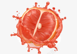 美味柑橘矢量图素材