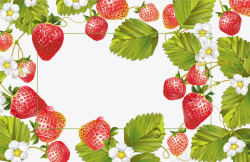 小清新草莓藤广告牌矢量图素材
