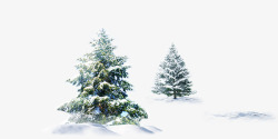 冬季大雪松树素材