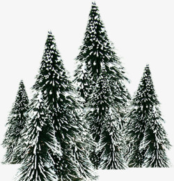 雪花飘树木冬季主图素材