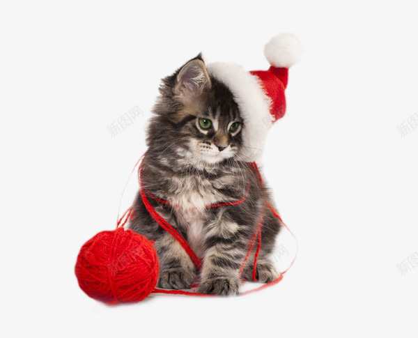 圣诞节可爱猫咪png免抠素材_88icon https://88icon.com 动物宠物 圣诞节 毛线 猫咪