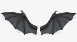 灰色蝙蝠翅膀素材