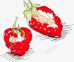 草莓素描矢量图素材
