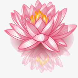 粉色睡莲手绘莲花高清图片