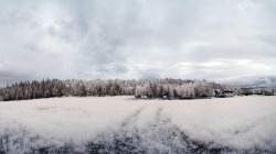 冬季促销白雪场景素材