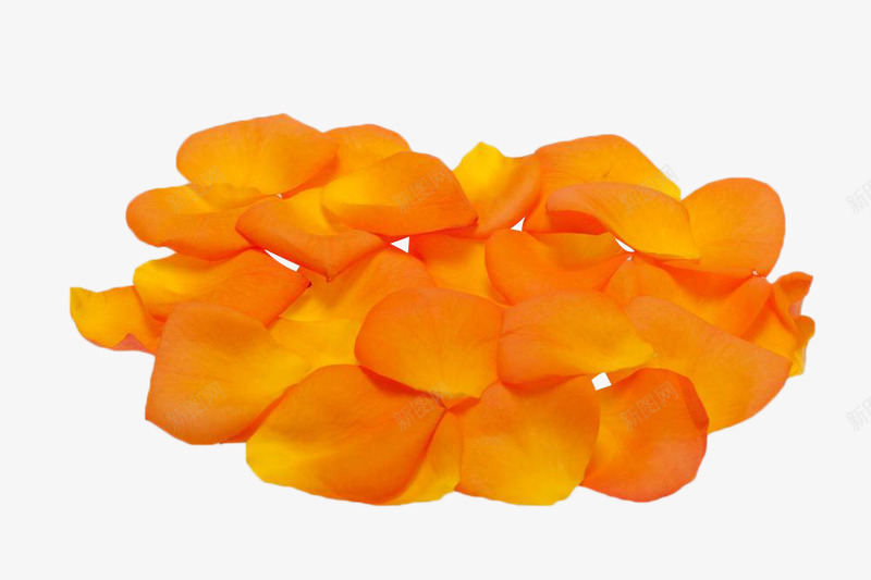 一堆黄色玫瑰花瓣png免抠素材_88icon https://88icon.com 唯美 地上的花瓣 植物 玫瑰花瓣 花卉 花瓣 落地的花瓣 落花 黄色