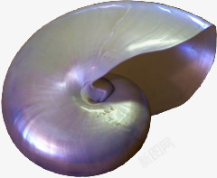 银色海螺螺旋素材