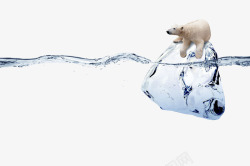 冰雪融化冰块上的北极熊高清图片