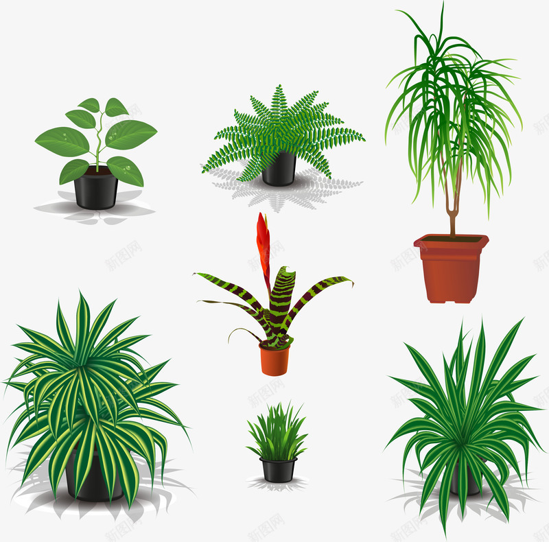 绿色盆栽植物矢量图ai免抠素材_88icon https://88icon.com 植物 盆栽 绿色 矢量图