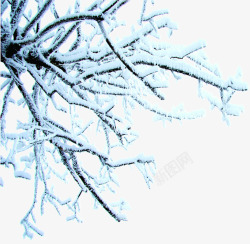 挂满雪的树枝素材