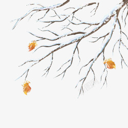 雪场冬季树枝高清图片