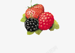草莓和野莓素材