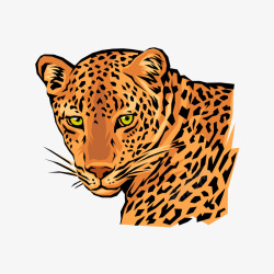 豹动物印花图案素材