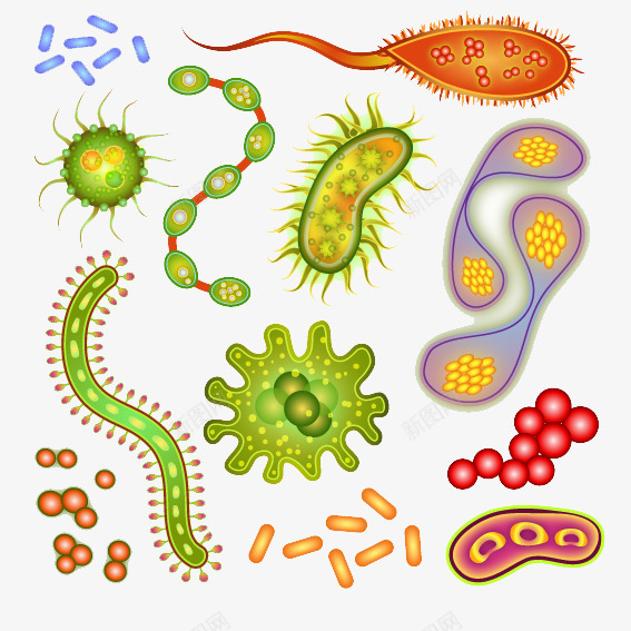 细菌细胞矢量图ai免抠素材_88icon https://88icon.com 病毒 矢量细胞 细胞 细菌 矢量图