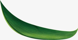 绿色竹叶端午节日素材