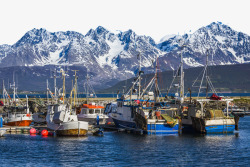 渔港异域的靠近雪山挪威渔港高清图片
