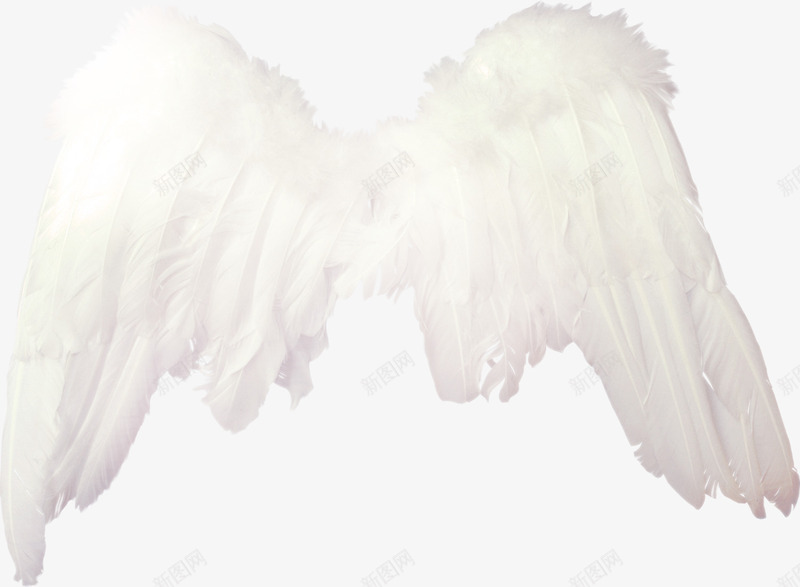 白色漂亮翅膀png免抠素材_88icon https://88icon.com 漂亮翅膀 白色羽毛 白色翅膀 翅膀 翅膀素材