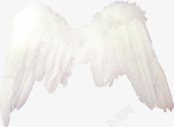 白色漂亮翅膀素材