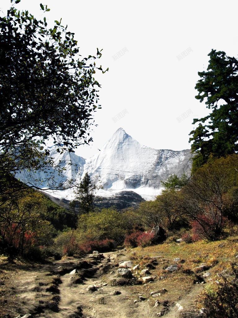 四川川西高原雪岭png免抠素材_88icon https://88icon.com 主 亚丁风景 名胜古迹 四川旅游 地方景点 央迈勇 央迈勇主峰 实物图 山峰 屹立 巍峨 摄影图 文殊菩萨化身 神山 神峰 著名景区 藏区守护神 观音菩萨图片 阳光 雄伟壮观 雪域高原 雪山 高清图片