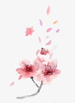 清新粉色散开的花瓣和花图素材