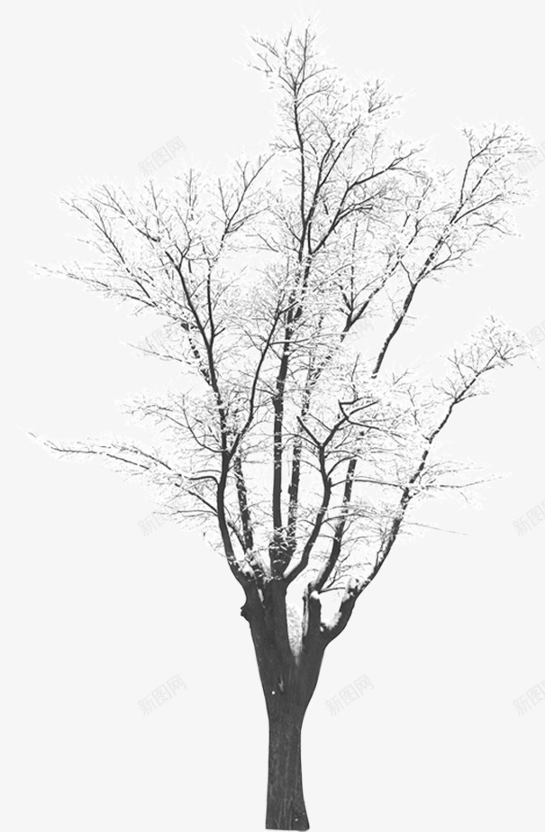 扁平手绘合成白色的雪花树木png免抠素材_88icon https://88icon.com 合成 扁平 树木 白色 雪花