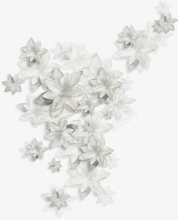 冬季剪辑白色花朵高清图片