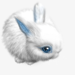 萌萌的小兔子可爱的小兔子高清图片