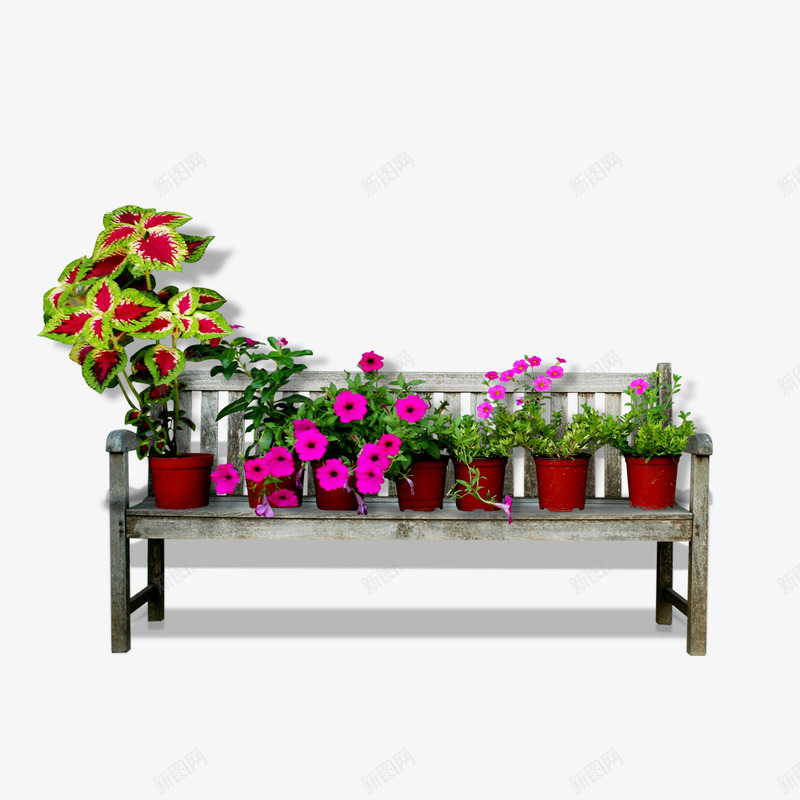 长椅上的盆栽png免抠素材_88icon https://88icon.com 木头 盆栽 红色 长椅 鲜花