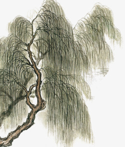 中国风水墨画柳树素材