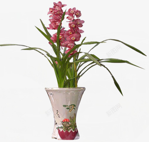 盆栽png免抠素材_88icon https://88icon.com 园林中的植物 植物 盆 盆栽 花瓶 花盆 陶瓷花瓶