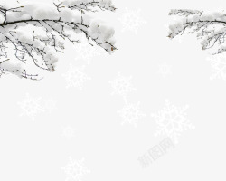 积雪树枝积满雪的树枝雪花高清图片
