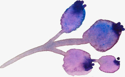 紫色浪漫水粉浆果素材