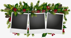 一品红叶子圣诞节装饰相框照片框高清图片