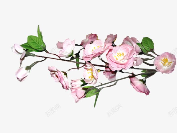 粉色樱花png免抠素材_88icon https://88icon.com 手绘 樱花 粉色 鲜花