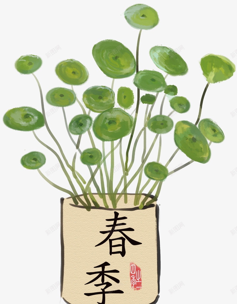 手绘装饰盆栽铜圆草插画png免抠素材_88icon https://88icon.com 手绘插画 植物 盆栽 绿植 装饰图案 铜圆草