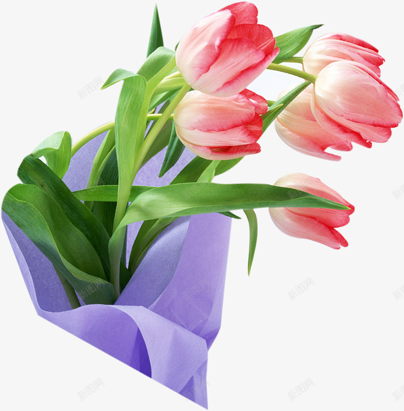 手绘植物百合花效果紫色纸张png免抠素材_88icon https://88icon.com 效果 植物 百合花 紫色 纸张