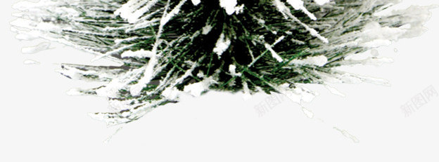 大雪树木冬季海报png免抠素材_88icon https://88icon.com 冬季 大雪 树木 海报