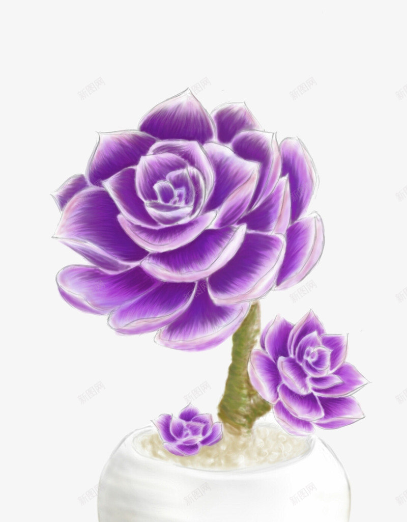 紫色花png免抠素材_88icon https://88icon.com 手绘 白花盆 盆栽 紫色花朵