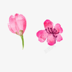 水彩粉红色花朵花骨朵春季樱花桃矢量图素材