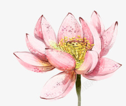 水墨莲花植物素材