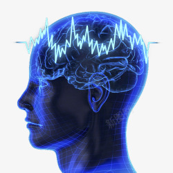 人脑科技人脑模型高清图片